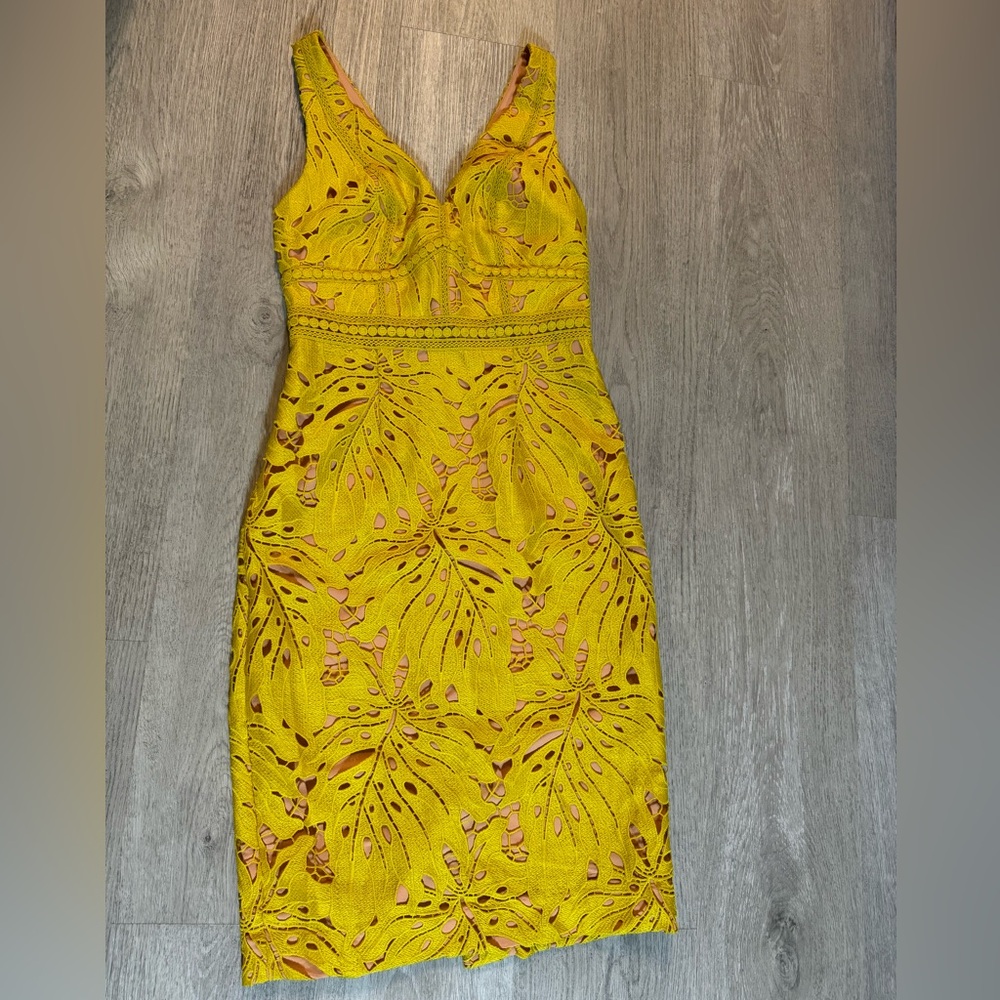 Anthropologie Gardenia Lace Column dress by Maeve
